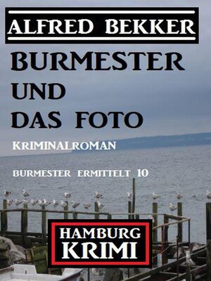 cover image of Burmester und das Foto